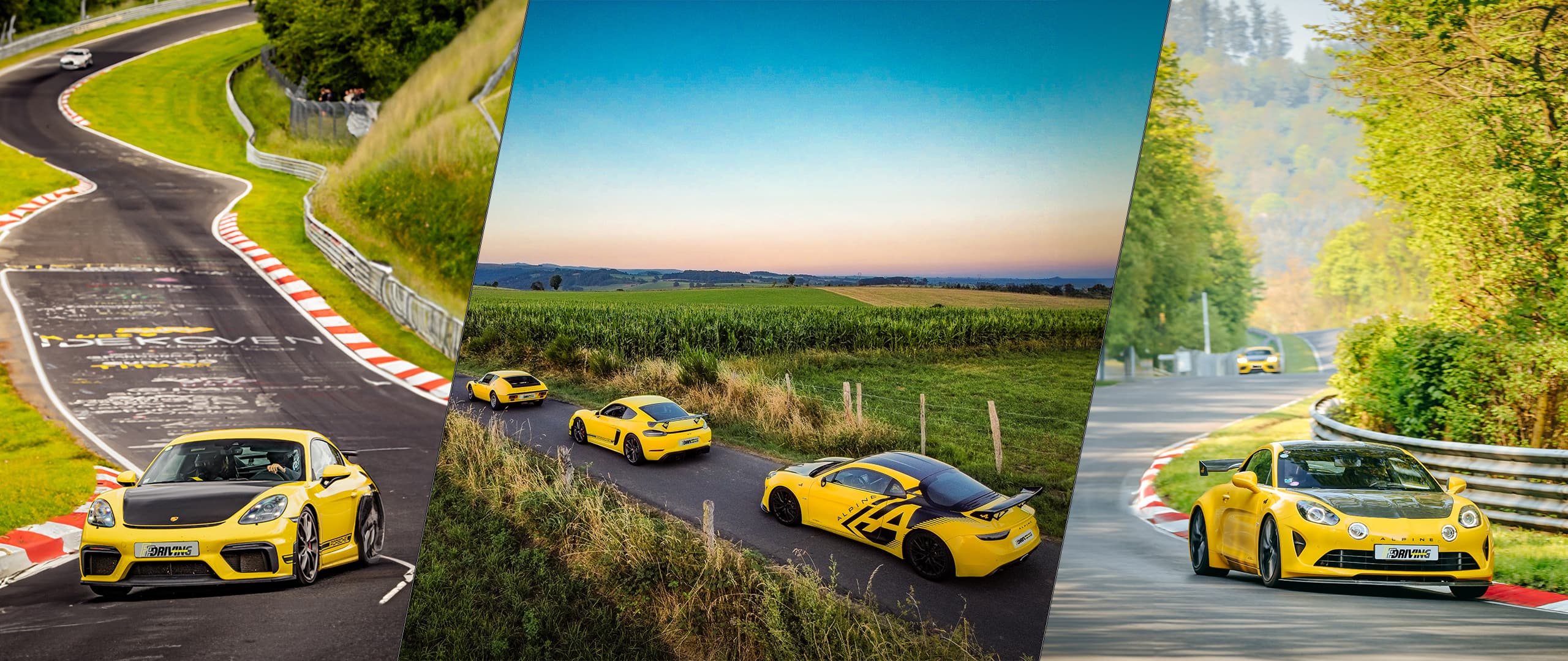 FF Driving Experience